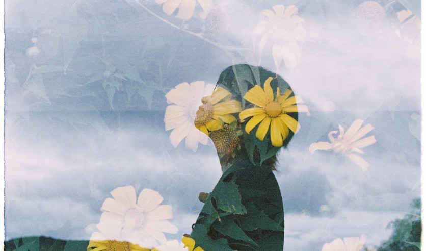 Person in Field on Flowers Background